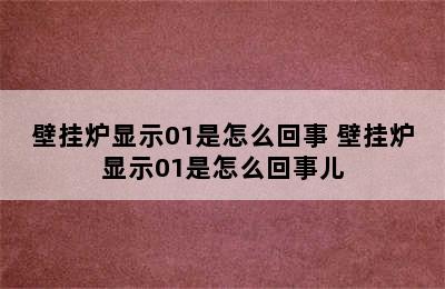 壁挂炉显示01是怎么回事 壁挂炉显示01是怎么回事儿